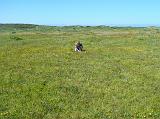 Big Sur 2010 047